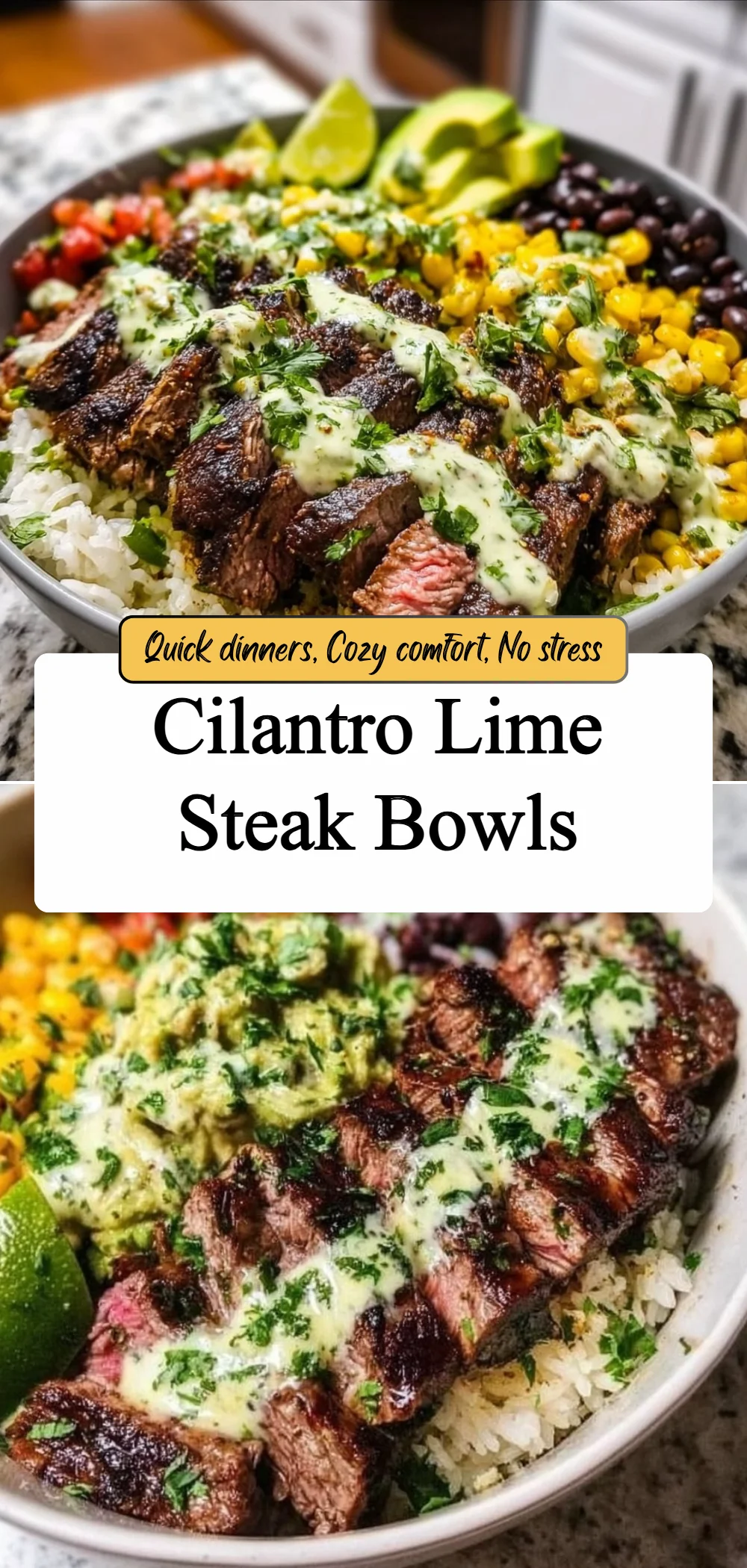 cilantro lime steak bowls 2026 05 16 014733